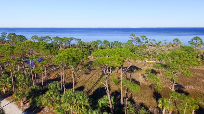 Fort De Soto Park